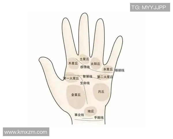 足球明星手相揭秘男性球员掌纹分析与性格特征探讨