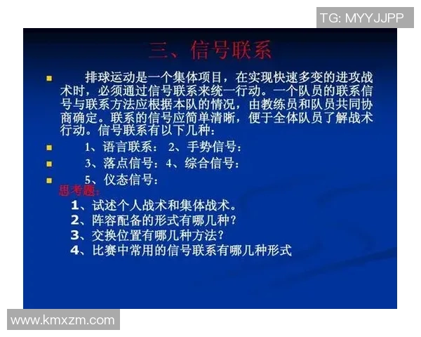 广州排球队灵活性探讨与战术创新的深度分析与展望